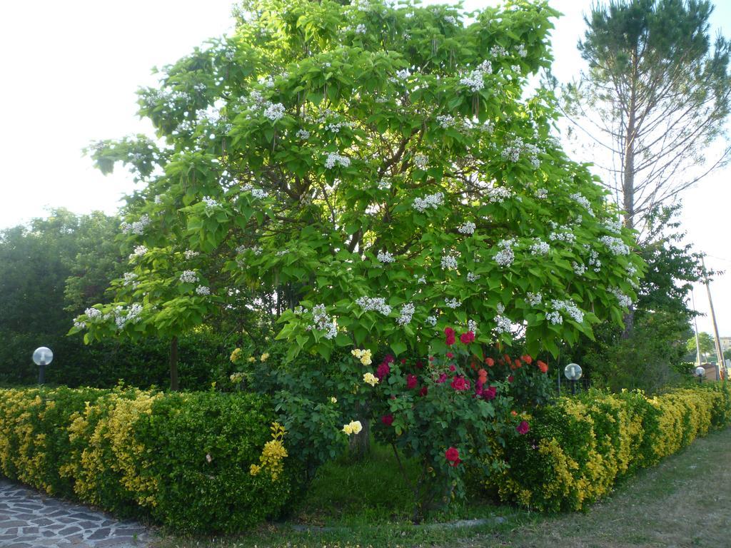 Tadinum Romana Gualdo Tadino Exterior foto